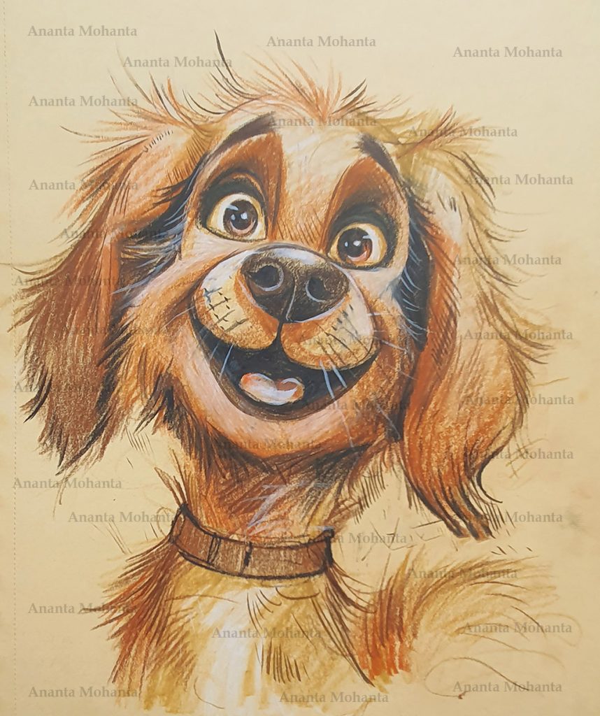 Children's book illustrator for hire