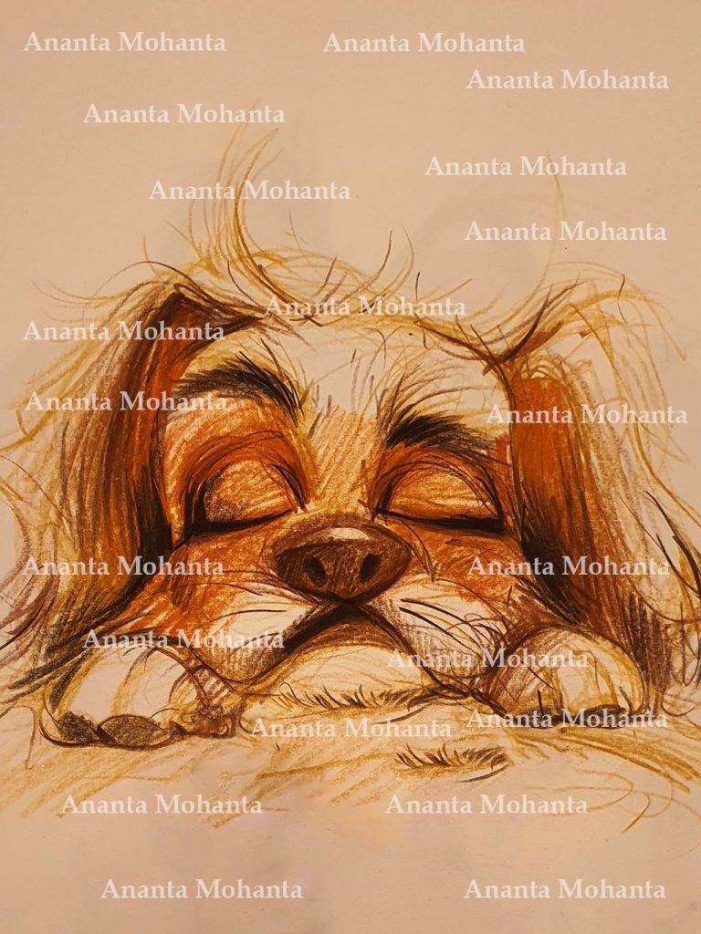 Hire a children's book illustrator