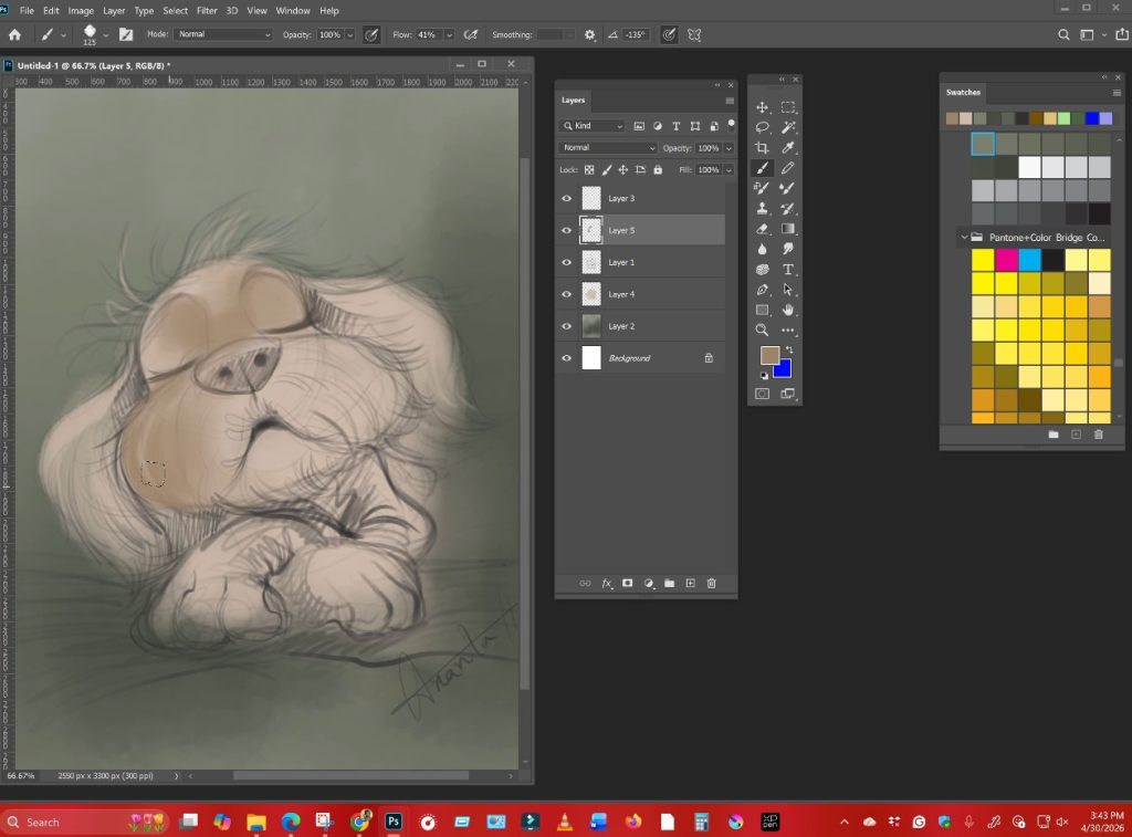 Children's book illustrator
